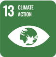 SDG 13