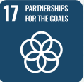 SDG 17