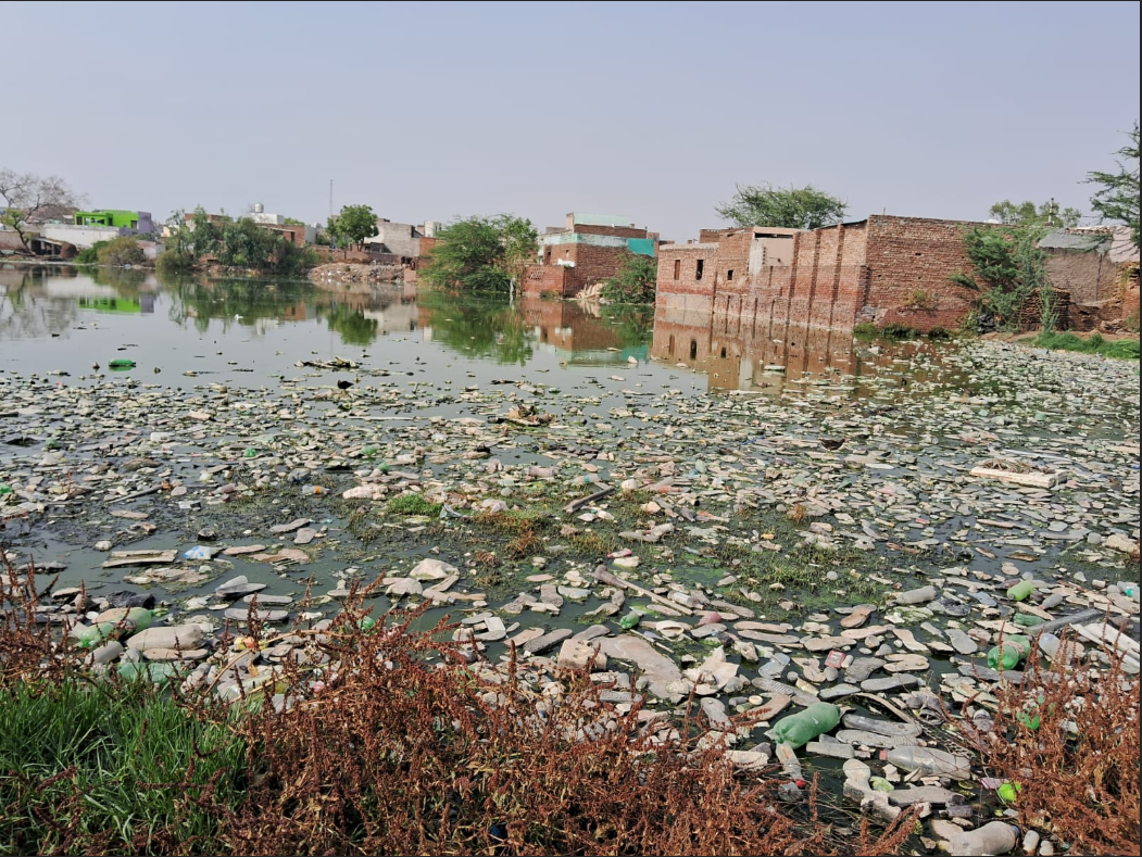 Environment Sustainability Project